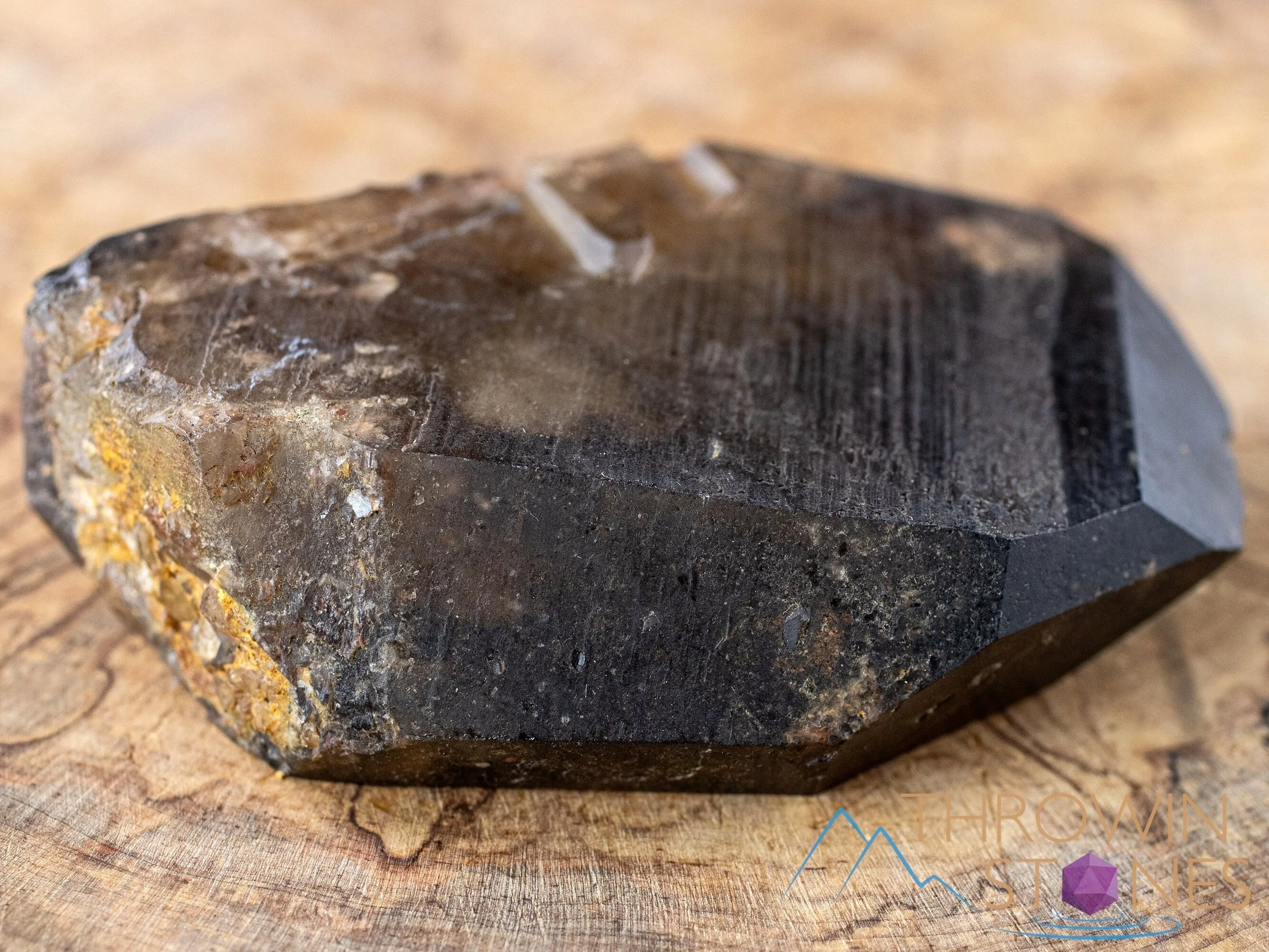 CITRINE Raw Crystal Point - Natural Citrine, Birthstone, Home Decor, Raw Crystals and Stones, 41181