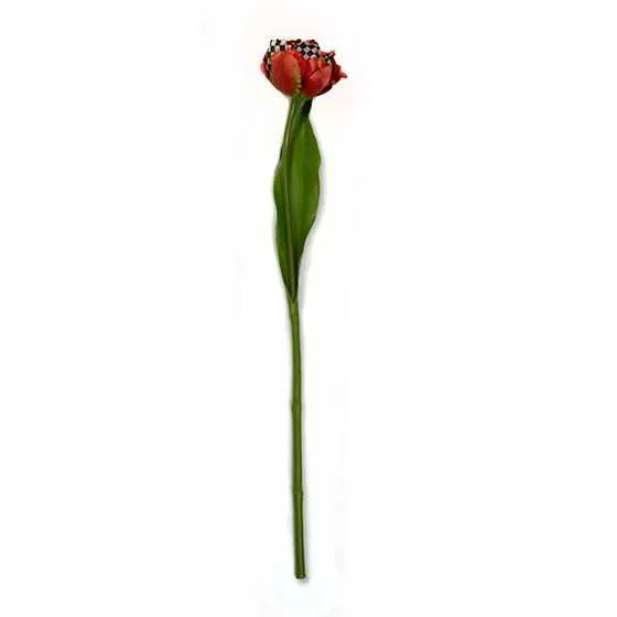 Courtly Check Tulip - Red (Mackenzie Childs)